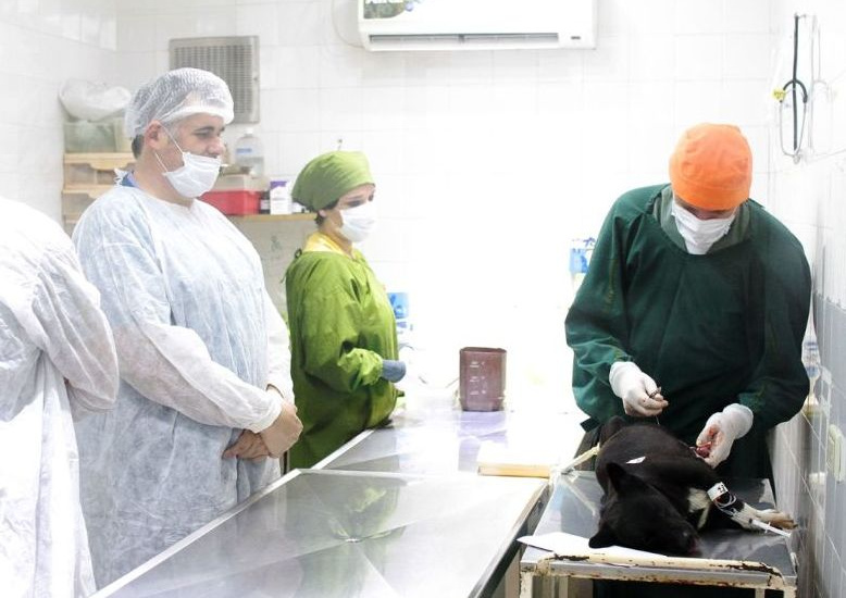El Centro de Sanidad Animal y Zoonosis de Alte Brown modelo para otros municipios